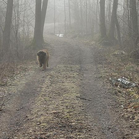 Tofvehults Boende Skaftet Esterno foto