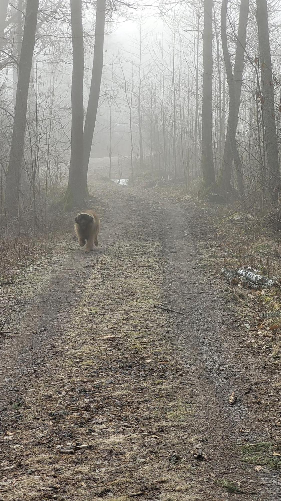 Tofvehults Boende Skaftet Esterno foto
