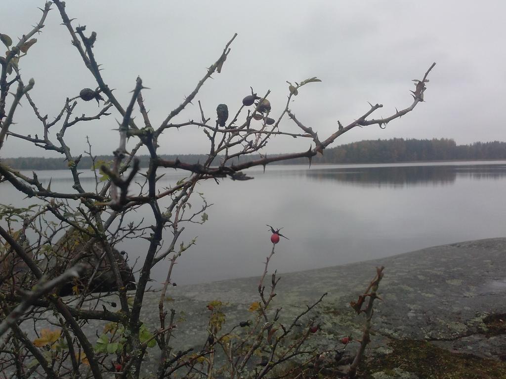 Tofvehults Boende Skaftet Esterno foto